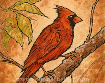 Signed and matted print of original Fall Cardinal painting by Eden Bachelder, ready to frame