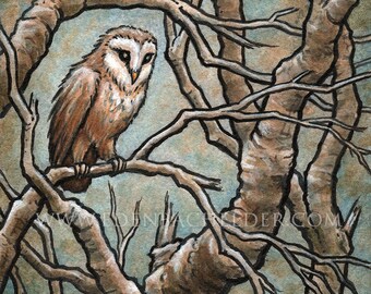 Little Owl signed and matted print of original ink and watercolour painting by Eden Bachelder, image 5" x 7", matting 8"x10"