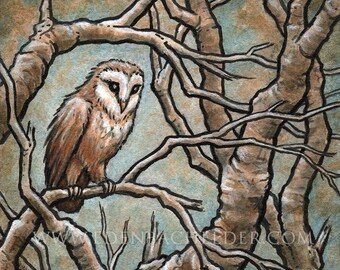 Little Owl signed and matted print of original ink and watercolour painting by Eden Bachelder, image 7" x 10", matting 11"x14"