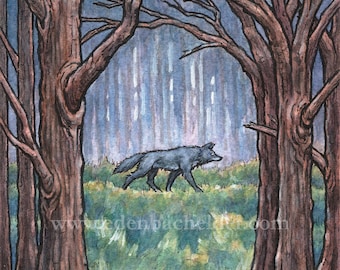 Impresión firmada y mate de la pintura original del lobo On the Prowl de Eden Bachelder, lista para enmarcar