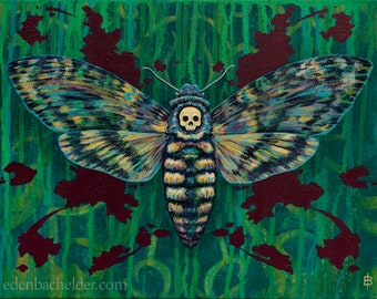 Acherontia, death's head hawkmoth, signed and matted print from an original painting by Eden Bachelder