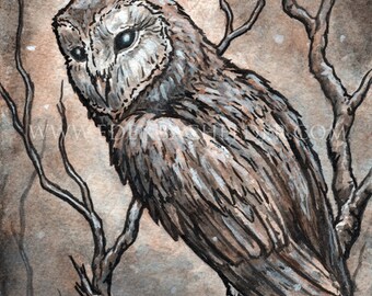 Signed and matted print of original Winter Owl watercolour painting by Eden Bachelder, ready to frame.
