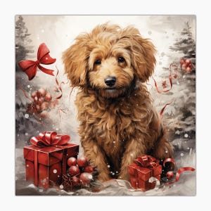 Glückwunschkarte, Weihnachten, Karte, Merry Christmas, Buon Natale, Boordoodle, Cane, Chien, Dog, Hund, Perro