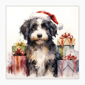 Glückwunschkarte, Weihnachten, Karte, Merry Christmas, Buon Natale, Australian Labradoodle, Cane, Chien, Dog, Hund, Perro