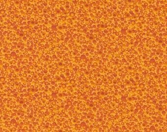 Moda Fabrics Sunflower Dreamscapes in Orange 1 Yard by Robin Pickins