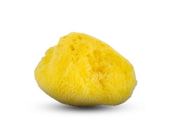 Organic Natural Sea Sponge 4&quot; - 5&quot;