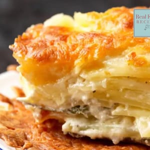 Cheesy Scalloped Potato Recipe Family Dinner Favourite Golden Potatoes Easy Vegetarian Freezer Meal High Protein Vegan Recipes Instant Print