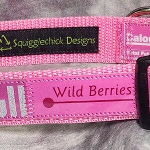 LARGE Adjustable Dog Collar from recycled Red Bull Wild Berries Pink Edition Packaging