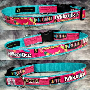 LARGE Adjustable Dog Collar from recycled Tropical Typhoon Mike & Ike Candy Wrappers
