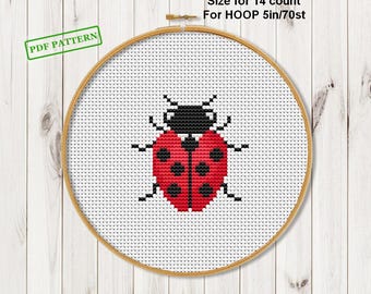 Coccinelle, point de croix, insecte, modèle, entomologie, betterave, téléchargement PDF