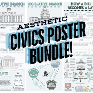 Aesthetic US Civics/Government/History Poster Bundle!