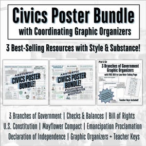 Civics & Government Bundle: 3 Branches + Founding Documents Aesthetic Posters with FREE Bonus!