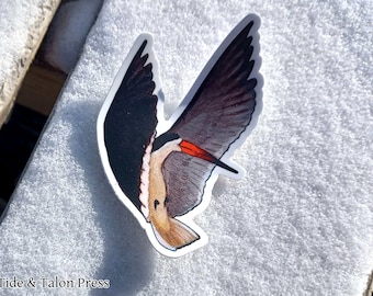 Black Skimmer Acrylic Vinyl Sticker - Waterproof and Weatherproof