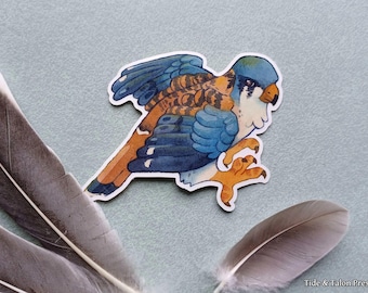 American Kestrel Watercolor Transparent Vinyl Sticker - Waterproof and Weatherproof