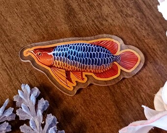 Cobalt Arowana Fish Acrylic Fridge Magnet - Original Painting Reproduction