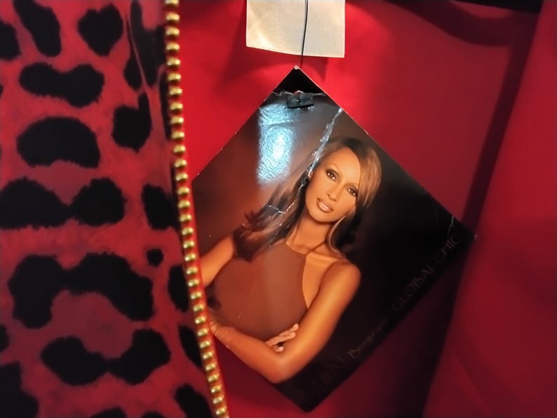 May include: Red fabric with black leopard print and a gold zipper. A tag features a photo of a woman in a brown top. The tag reads "GLOBAL CHIC".