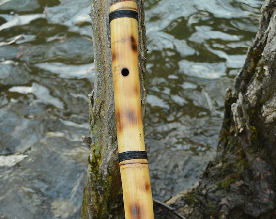 Egyptian Forest Flute with a ney like scale