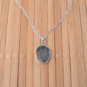 Fossil Trilobite Silver Necklace Fossil Silver Chain 17 inch Necklace Collectible Trilobite Necklace Gift Artisan Black Stone Pendant
