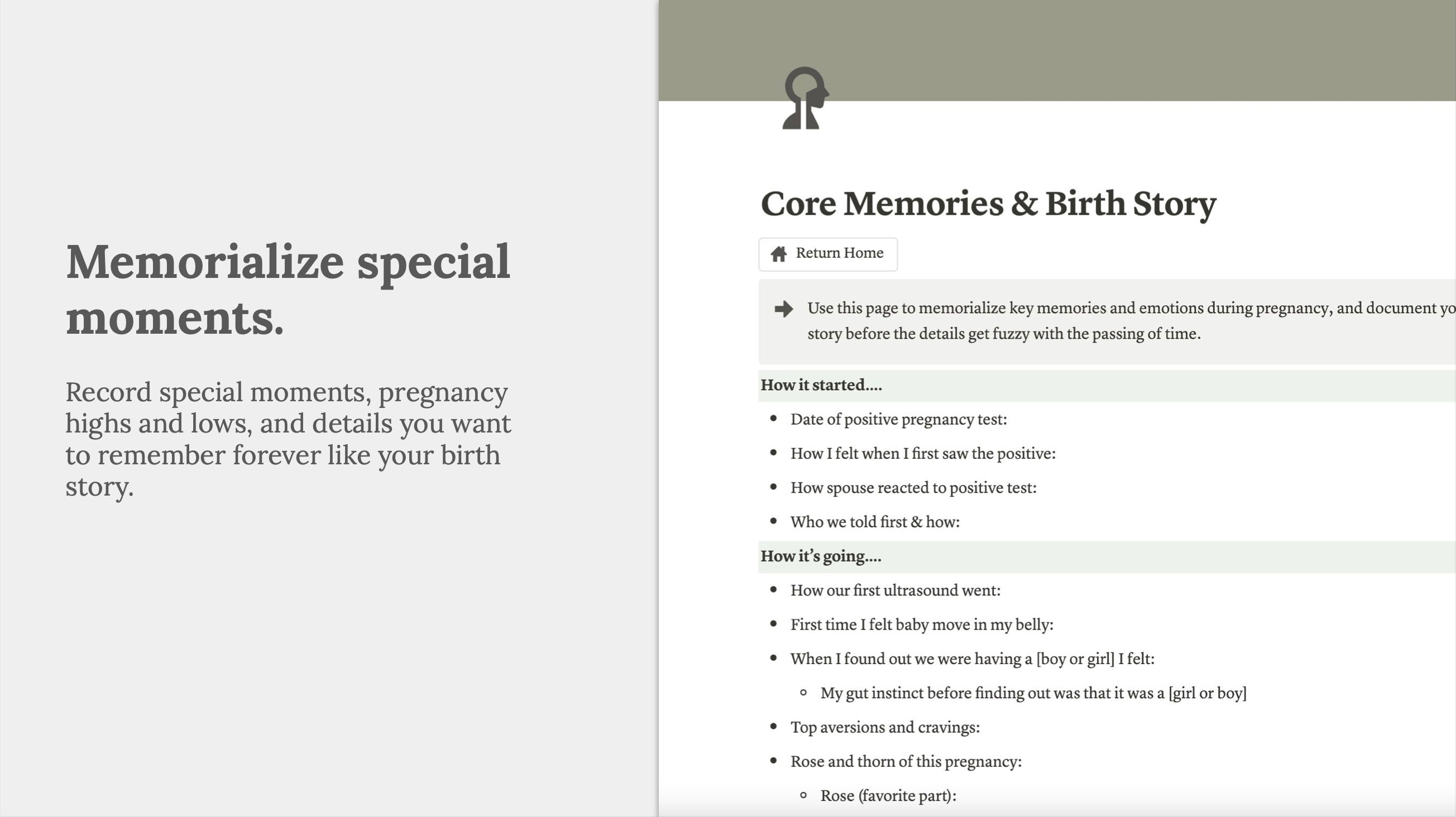 Notion Digital Pregnancy Planner & Journal Detailed Tracker