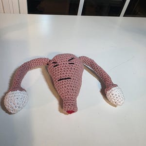 Crocheted uterus and ovaries