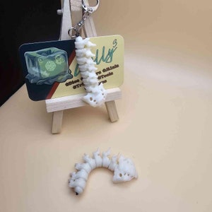 Sleutelhanger met anatomisch correcte wervelkolom, fidgetspeeltje skelet