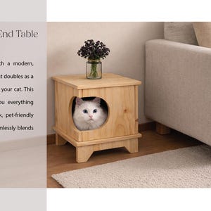 May include: A light-colored wooden square end table featuring a cutout cat-sized entrance on the front panel. A white cat is visible inside the enclosure. The text DIY Cat House End Table is printed on the left side of the image.