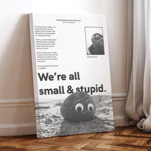 Everything Everywhere All at Once Movie Poster, Wrapped Canvas, Art Poster for Gift,Room Decor,Wall Art,Gift For Him