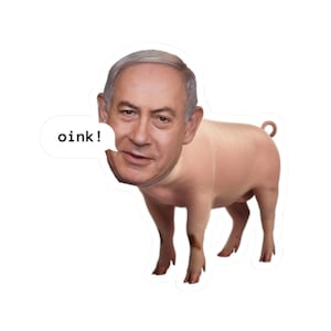 Pro Palestine Kiss-Cut Sticker, Anti-Genocide Israel Protest Sticker, Political Activism