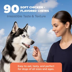May include: A woman offers a soft chicken-flavored chew to a black and white Siberian Husky. The image includes the text "90 SOFT CHICKEN - FLAVORED CHEWS" and "Irresistible Taste & Texture". The bottom of the image reads "Easy to eat, tasty, and perfect for dogs of all sizes and ages."