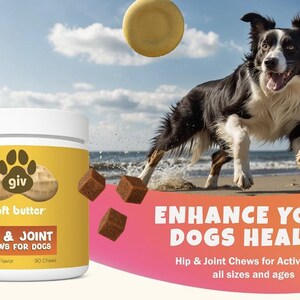 May include: A white and yellow container of dog chews with the text "Hip & Joint Chews for Dogs." A Border Collie leaps on a beach with a flying disc. The image also includes the text "Enhance Your Dogs Health."