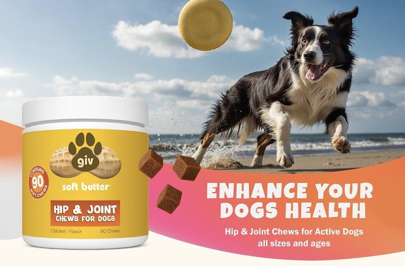May include: A white and yellow container of dog chews with the text "Hip & Joint Chews for Dogs." A Border Collie leaps on a beach with a flying disc. The image also includes the text "Enhance Your Dogs Health."