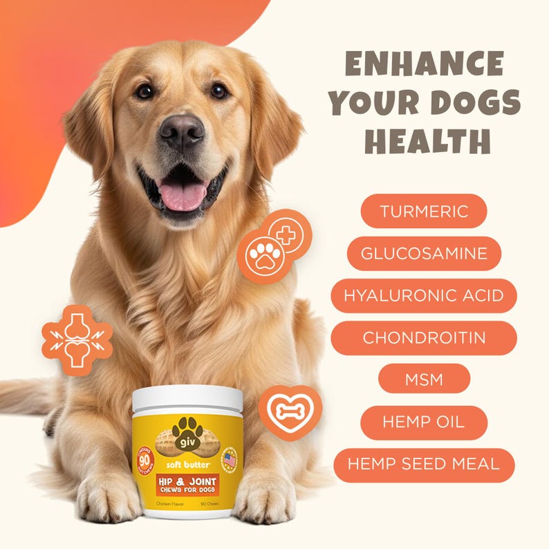 May include: A Golden Retriever smiles next to a jar of "giv" soft butter hip & joint chews for dogs. The image includes text that says "Enhance Your Dogs Health" and lists ingredients like Turmeric and Glucosamine.