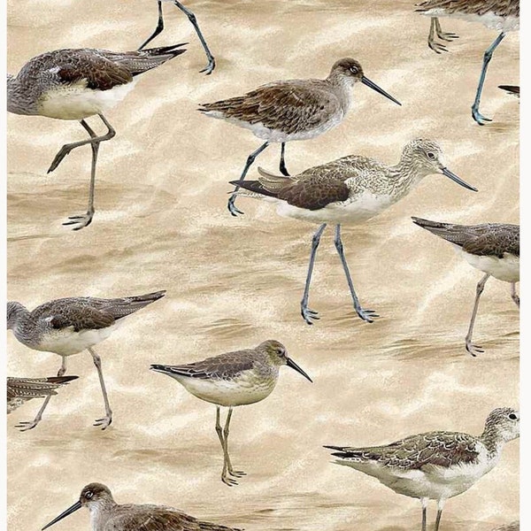 Beach Fabric Featuring Sandpipers Walking Along the Beach by Timeless Treasures