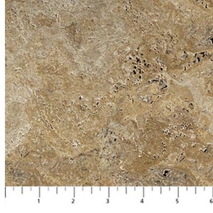 Cabin View Marble in Tan Cotton Fabric by Northcott DP25124-14