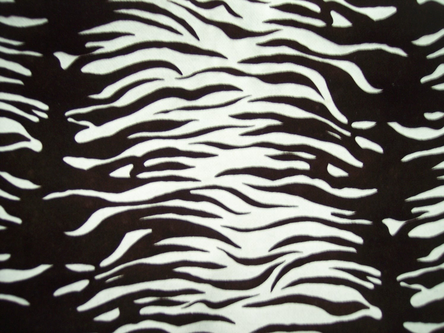 Pure Italian Wool Zebra Print Fabric 60 Inches Wide - Etsy