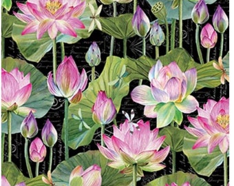 Water Lilies Cotton Fabric by Northcott DP25057-99