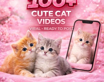 100+ kittenvideo's | Virale content, TikTok, haspels (digitale download)