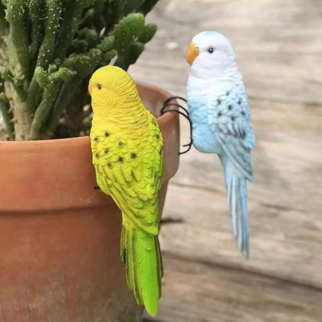 Beautiful view of Macaw Bird Aviary Design Ideas For Interior Decor