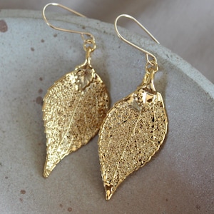 May include: A pair of gold-colored leaf earrings. The earrings are shaped like leaves with intricate vein detailing. The leaves hang from gold-colored ear wires. The earrings are displayed on a neutral-colored surface.