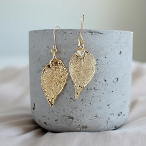 May include: A pair of gold-colored leaf earrings with delicate veining. The earrings are suspended from gold-colored ear wires. The earrings are displayed on a gray concrete container.