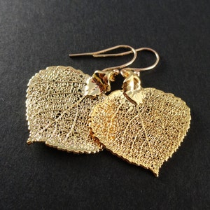 May include: A pair of gold-colored leaf-shaped earrings. The earrings feature intricate vein detailing, with a delicate, openwork design. The ear wires are also gold-colored. The earrings are displayed against a dark background.