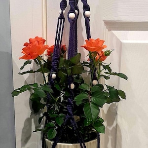 Könnte beinhalten: Handgefertigter Makramee-Pflanzenaufhänger in tiefem Lila, der einen weißen Keramiktopf mit einer Rosenpflanze hält. Die Rosen sind leuchtend orangefarben. Der Aufhänger hängt an einem Türgriff.