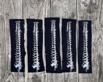 spine patch (2” by 5”)