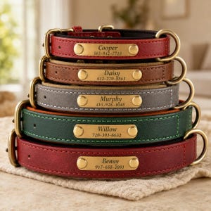 May include: A stack of five leather pet collars in red, brown, gray, green, and dark red. Each collar features a brass-toned metal nameplate engraved with a name and phone number, including Cooper 503-842-7715, Daisy 612-270-8563, Murphy 415-926-3048, Willow 720-391-6632, and Benny 917-658-2091.