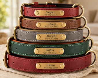 May include: A stack of five leather pet collars in red, brown, gray, green, and dark red. Each collar features a brass-toned metal nameplate engraved with a name and phone number, including Cooper 503-842-7715, Daisy 612-270-8563, Murphy 415-926-3048, Willow 720-391-6632, and Benny 917-658-2091.