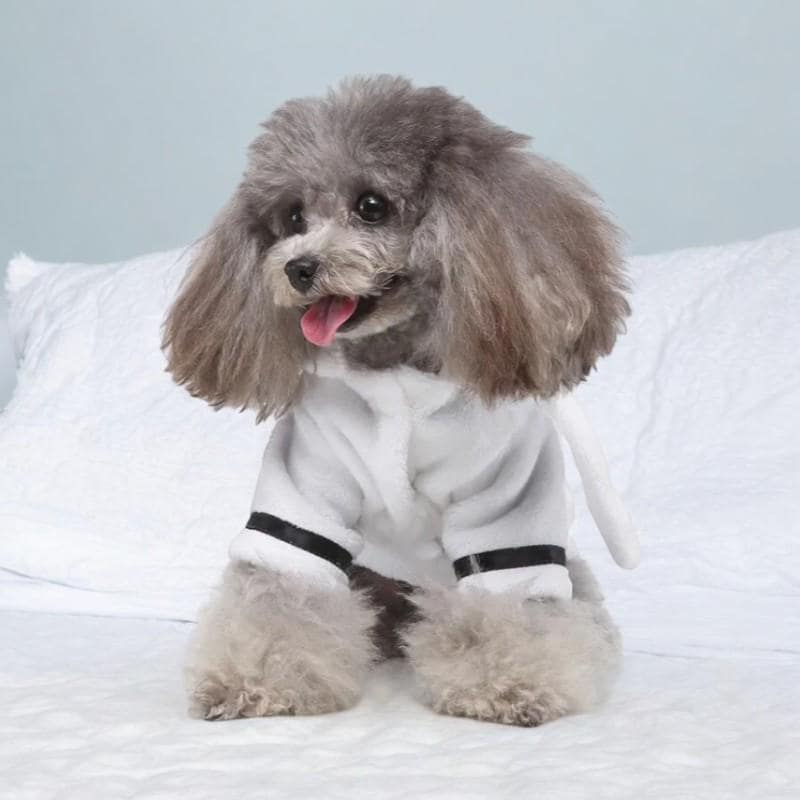 Chihuahua bathrobe hotsell