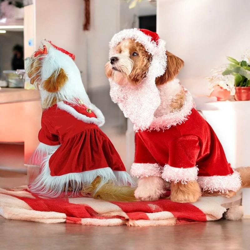 Midlee Mrs. Claus Santa Tutu Dog Dress - Large