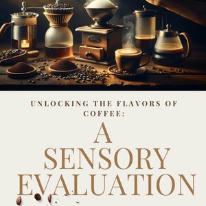 Sensory Evaluation: Unlocking the Flavors of Coffee