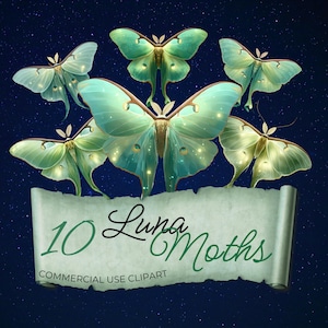 Luna Motten Clipart x10, kommerzielle Nutzung, leuchtende grüne mystische Insekten, Fantasy Natur himmlische Mondhexe, transparenter png Download CC337