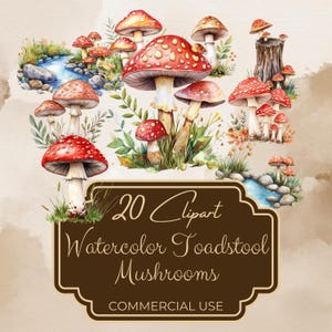 Champignon champignon forêt Clipart champignon vénéneux x 20, usage commercial, illustration numérique aquarelle, art, fond Transparent, Cottagecore Boho, CC337